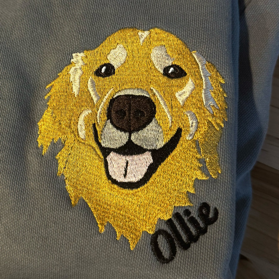 OllieHead.png
