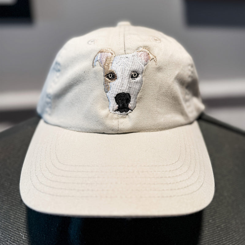 Custom Embroidered Pet Hat
