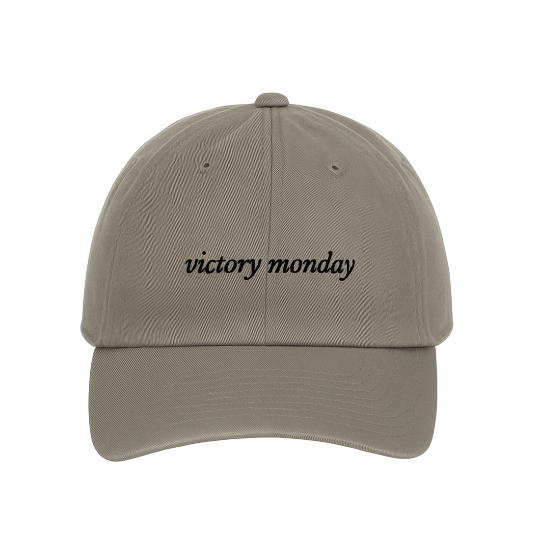Hail To The Victors Dad Hat