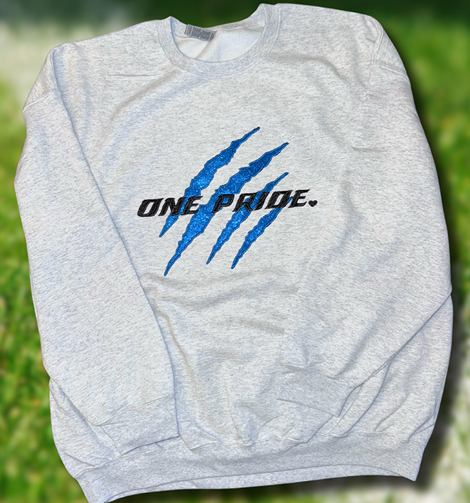 oneprideshirt.png